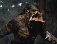 The battle damaged Assassin.