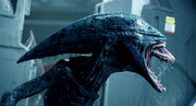 Proto-xenomorph2