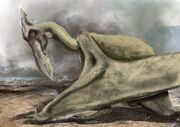 Pterodraco.jpg