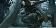 Trilobite.png