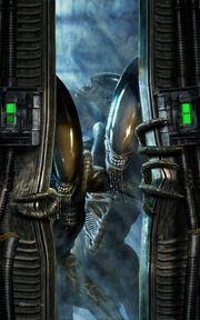 K-alienssteelegg original.jpg