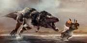 Tyrannosaurus kis Triceratops.jpg