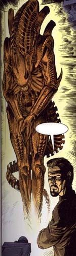 Salvaje.jpg