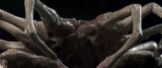 Arctámadó 1.gif