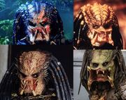 Predator1 fej.jpg