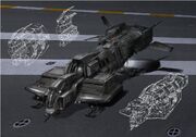AD-19C D Binturong.jpg