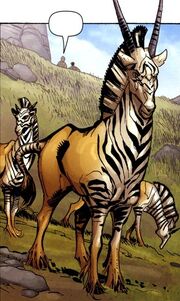 Zebraantilop.jpg