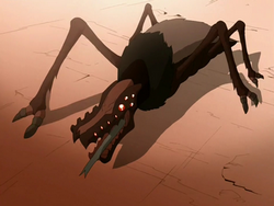 Canyon crawler.png