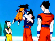 Goku With His Family After Kid Buu's Defeat
