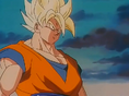 Goku gen