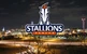 Denver Stallions