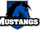 Indianapolis Mustangs