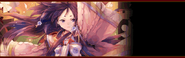 Ohina Princess Wars Banner