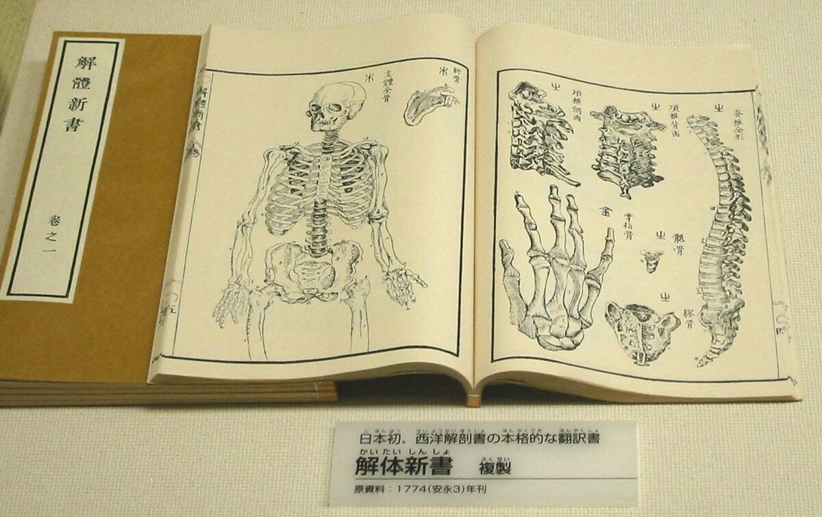 Tafel Anatomie/Origin | Ayakashi: Ghost Guild (Onmyouroku