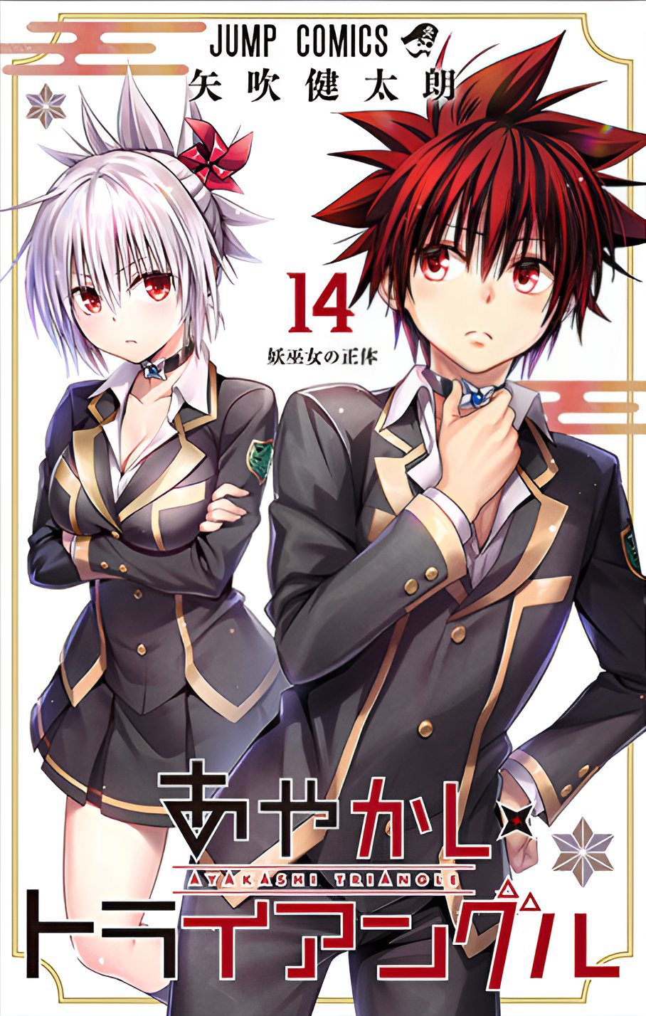 Volume 14, Ayakashi Triangle Wiki