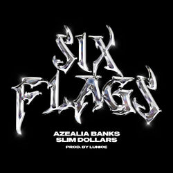Sixflagss