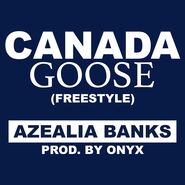 Canada Goose (song)