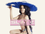 Slay-Z (mixtape)