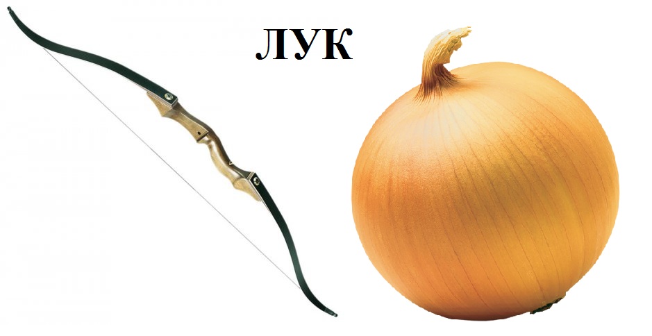 Лук омонимы. Омонимы. Назвать несколько значений слов лук. Слова омонимы. Назвать несколько значений слов лук.