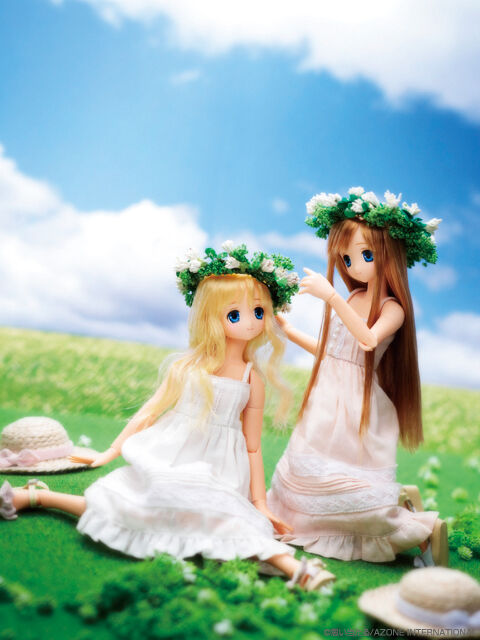Summer Melody Sahra (Direct store sales ver.) | Azone Summer Melody Sahra (Direct store sales ver.) | Azone