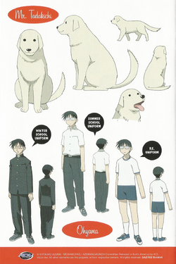 chiyo-chan様 Chiyo Chan (Azumanga) - Max Toy Company