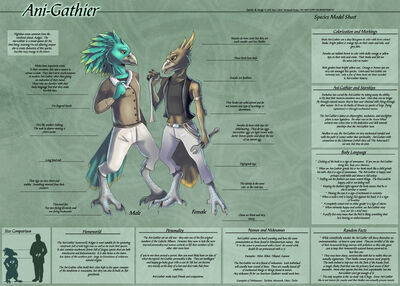 Ani-Garhier-SpeciesSheet copy