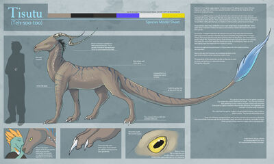 Tisutu-SpeciesSheet