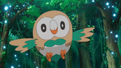 Rowlet do Ash.png