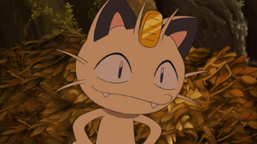 Meowth da Equipe Rocket