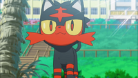 Litten anime