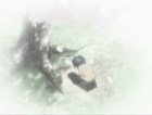 Kyousuke past05.png (232 KB) Kyousuke digging his father's bandages
