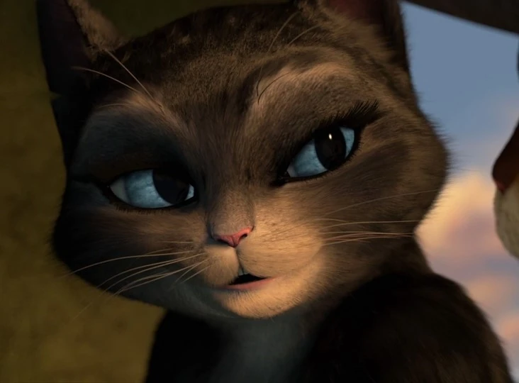 Discuss Everything About The Adventures of Puss in Boots Wiki Fandom