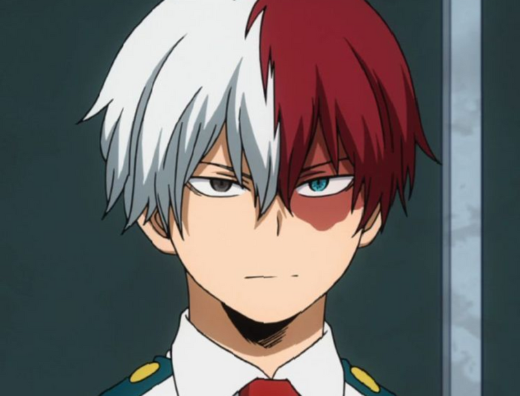 Todoroki anime sale