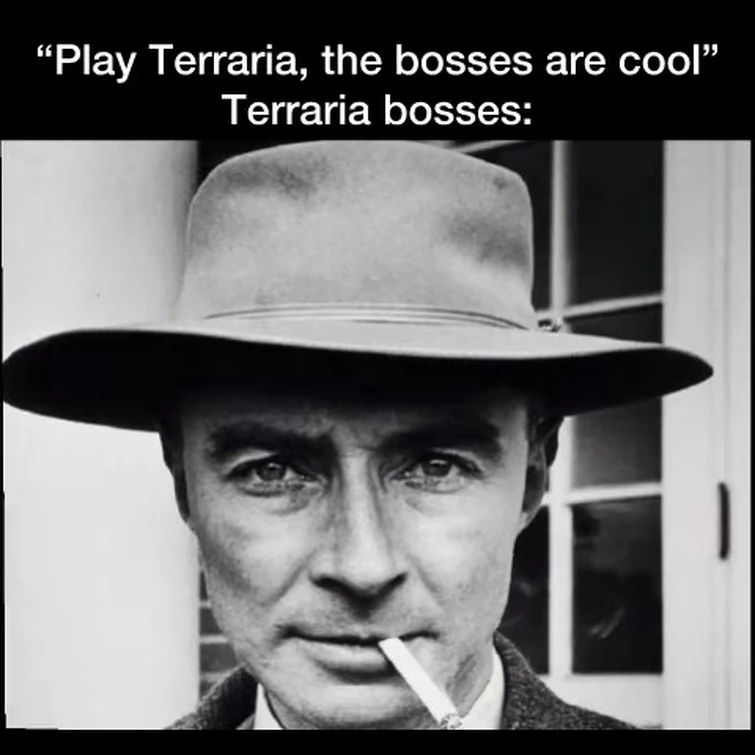 Play Terraria #memes #terraria