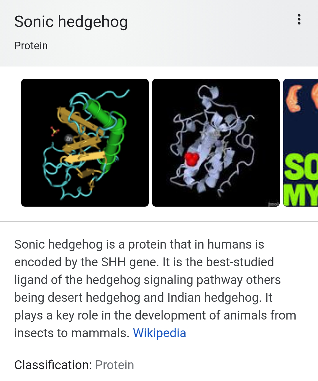 sonic hedgehog protein