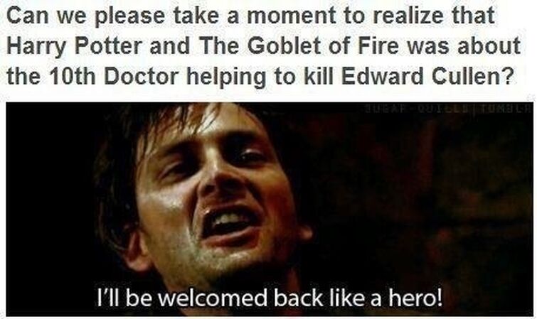 Doctor Potter” Meme is the Closest We'll Get to a Harry Potter Doctor Who  Episode