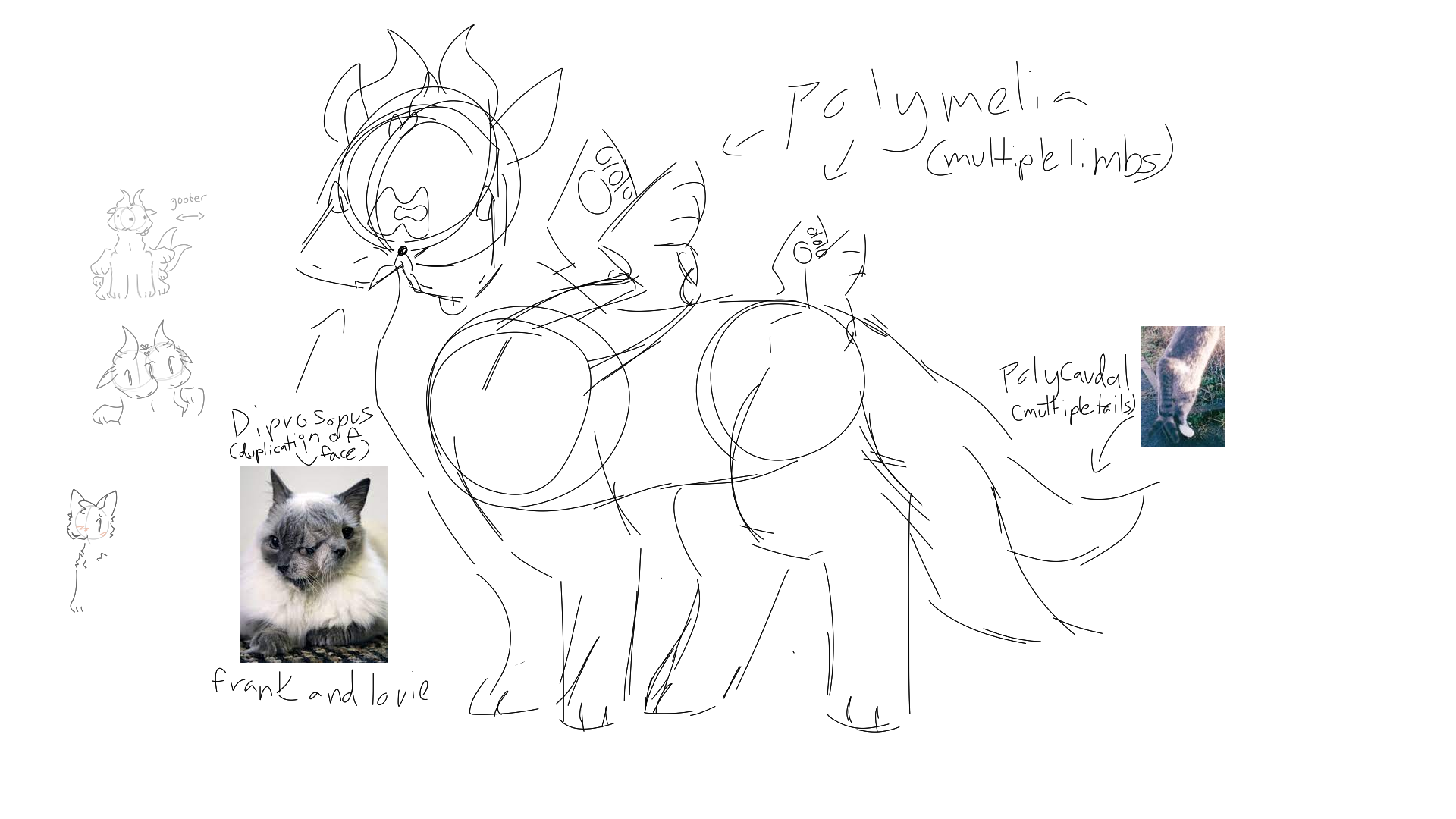 ask-make-assumptions-about-give-name-ideas-for-this-oc-fandom