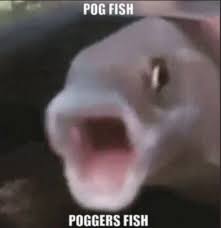 Poggers Fish Fandom - roblox jojo's fishy adventure