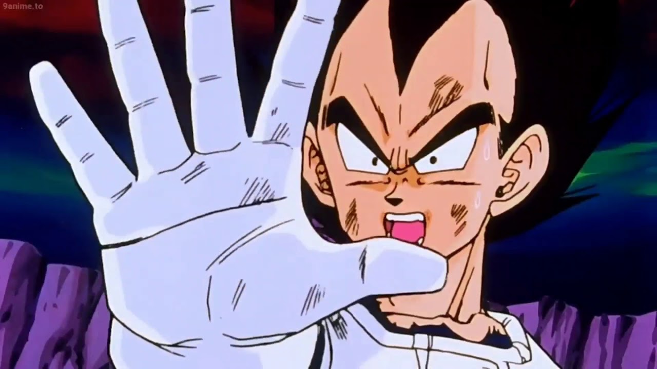 Seeing how goku and vegeta were dead equals in ss2, could vegeta have also  become a ss3 if he knew how it's done, like gotenks. : r/Dragonballsuper