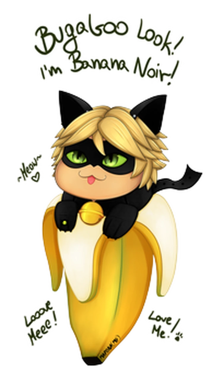 Yes I Love This Version Of Chat Noir Fandom