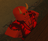 FirePyromancer's avatar