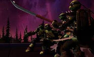 Owari, TMNTPedia