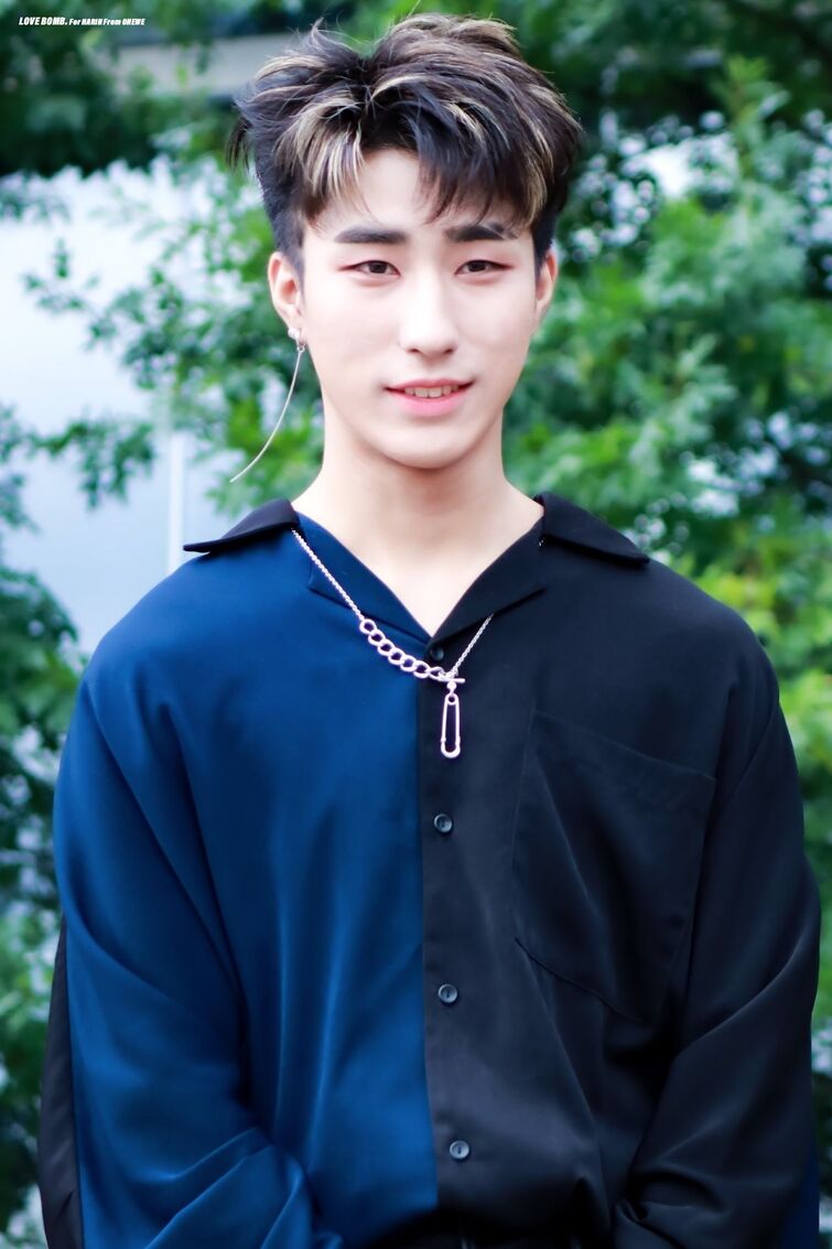 Your Daily Dose of KPop: Day 61 | Fandom