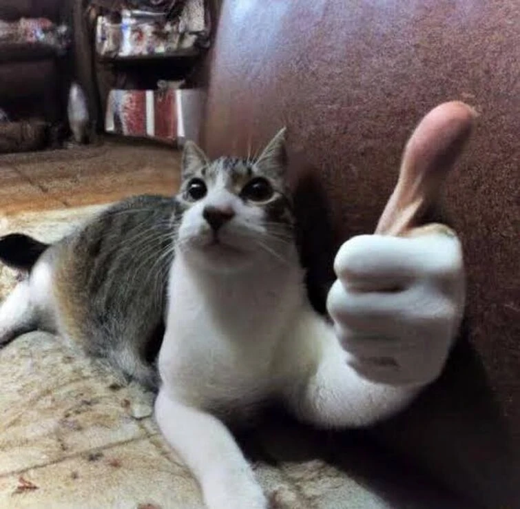 Astro GToilet Commander Fandom