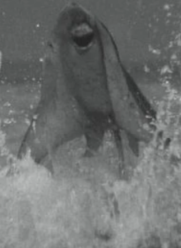 Ultimate Ultraman Kaiju, Kaijin and Seijin Smash or Pass Part 1