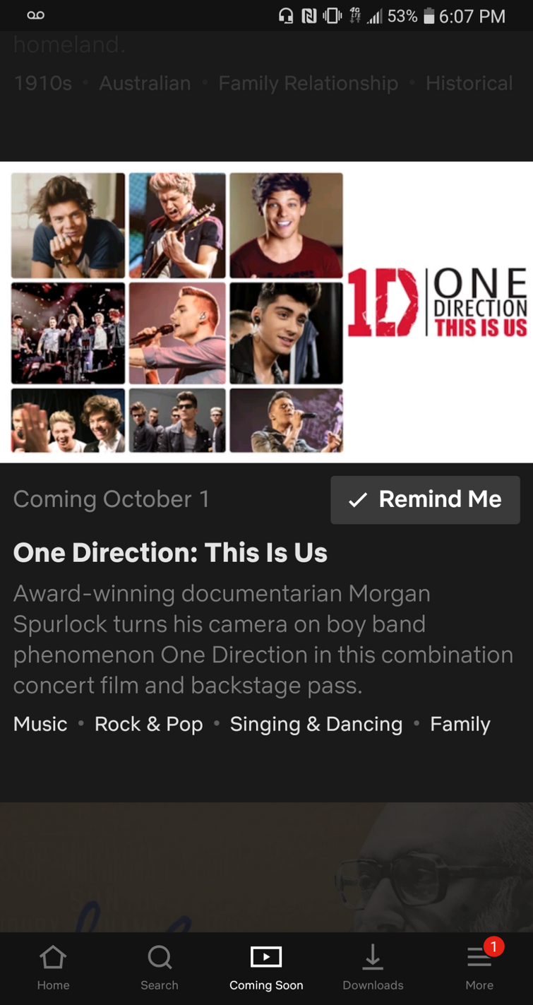 Netflix is btinging the One Direction This Is Us movie Fandom
