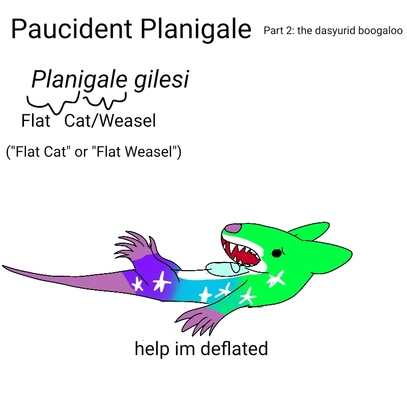 Scientific Name For Furry