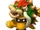 Confused Koopa Kid