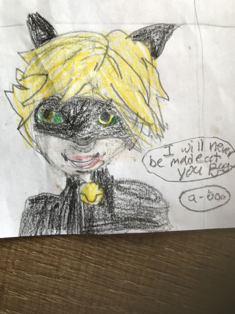 HOW TO DRAW CAT NOIR  How to Draw Ladybug Step by Step Miraculous The  Adventures of Ladybug 