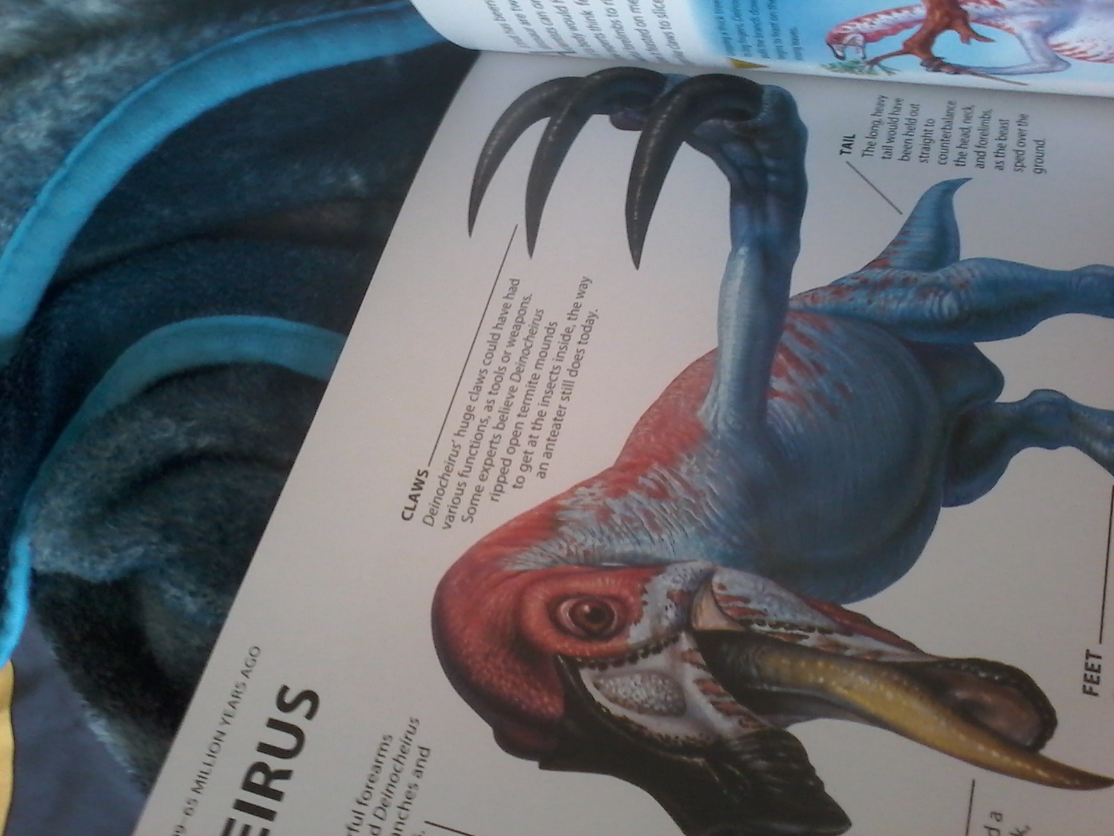 Deinocheirus, Dinopedia